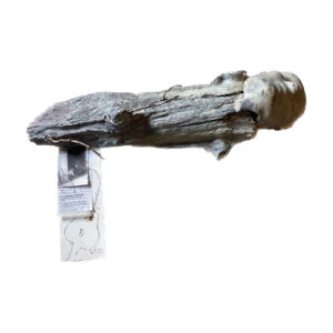 DESPIERTAS IV 2023 | Santiago Crespo Caurín RESIGNIFICAR HOGAR