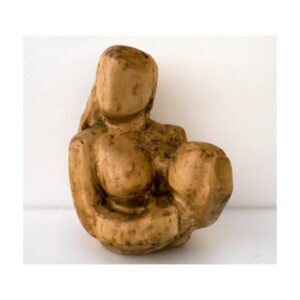 DESPIERTAS V 2024 | Gonzalo Zeballos Sarrato ALIMENTO Y VIDA