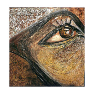 DESPIERTAS V 2024 | María Carmen Gomez Ramos MIRANDO AL CIELO CON OJO INQUIETO