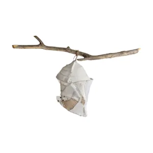 DESPIERTAS VII 2026 | María Gloria Nieto Montero METAMORFOSIS